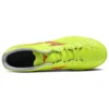 Monarcida Neo III Select AS “Yellow Green”