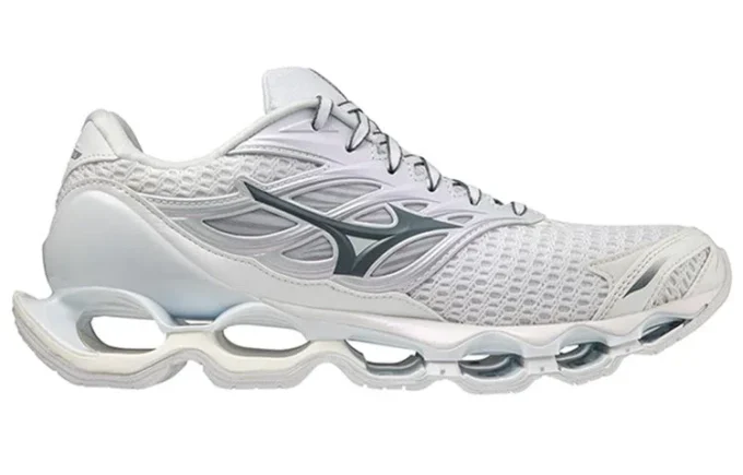 Wave Prophecy 11 “White Grey”